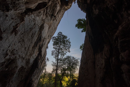 the Nature wit a Tree at the cave of Wat Tham Khao Chakan in Province of Sa Kaeo in Thailand. Thailand, Sa Kaeo, November, 15, 2025のeditorial素材