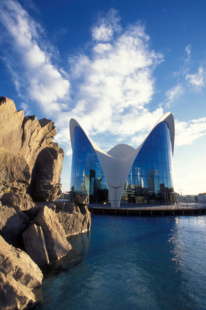 the architecture of the Aquarium of l Oceanografic at the City of Arts and Sciences in the city of Valencia in Spain. Spain, Valencia, October, 2004のeditorial素材