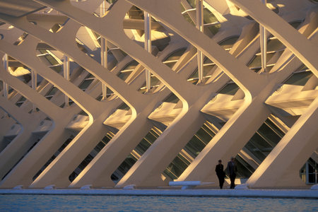 the architecture of the Principe Felipe Science Museum at the City of Arts and Sciences in the city...
