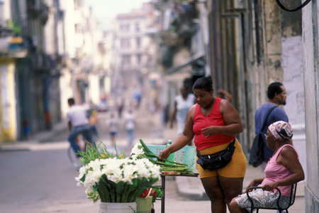 flower seller at a market in the city of Havana on Cuba in the Caribbean Sea. Cuba, Havana, October, 2005のeditorial素材