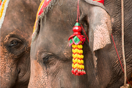 a elephant show at the tradititional Longboat Race at the Mun river of the town of Satuek north of...