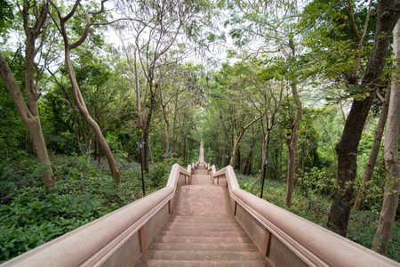 the steps to the buddha of the Wat suphatbophit near the city of Buriram in the province of Buri Ram...
