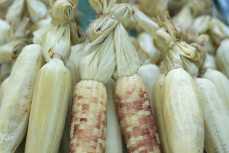 corncob at a market in the city of Chiang Rai in North Thailand.