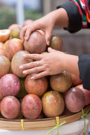 passionfruit or maracuja at a market in the city of Chiang Rai in North Thailand.のeditorial素材