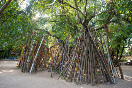 spirit with woodsticks in the park at  Wat Prathat Lampang Luang near of the city of Lampang in North Thailand.のeditorial素材