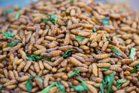 insects and streetfood at the walkingstreet nightmarket in the old town of the city of Lampang in North Thailand.のeditorial素材