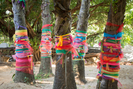 spirit with woodsticks in the park at  Wat Prathat Lampang Luang near of the city of Lampang in...