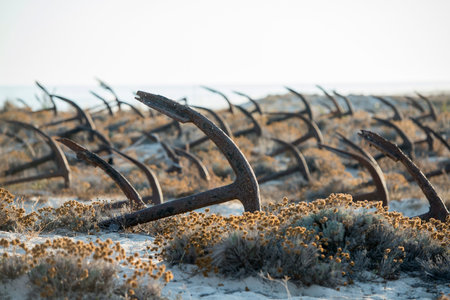the Anchor cemetery at the Barril beach near the Town of Tavira at the east Algarve in the south of...