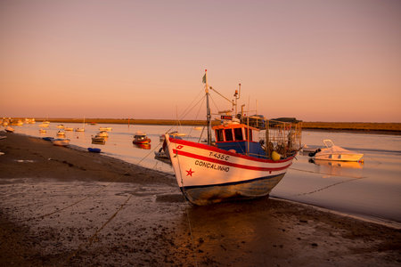 the landscape and coast at the town of Santa Luzia in the Algarve in the south of Portugal in...