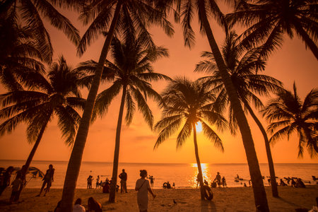 the Bang Saen Beach at the Town of Bangsaen in the Provinz Chonburi in Thailand.  Thailand, Bangsaen, November, 2017のeditorial素材