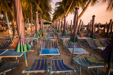 the Bang Saen Beach at the Town of Bangsaen in the Provinz Chonburi in Thailand.  Thailand, Bangsaen, November, 2017のeditorial素材