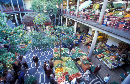 the market hall in the old town of Funchal on the Island of Madeira in the Atlantic Ocean of Portugal.のeditorial素材