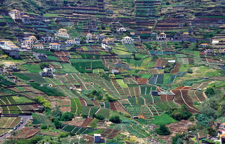 a village in the landscape on the Island of Madeira in the Atlantic Ocean of Portugal.