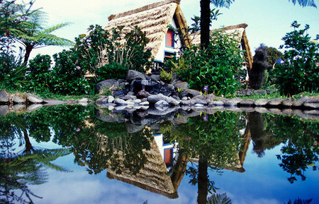 a traditional and Rural House in the town of Santanal on the Island of Madeira in the Atlantic Ocean of Portugal.のeditorial素材
