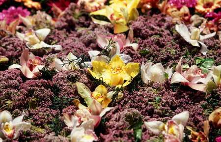 the flower market in the market hall in the old town of Funchal on the Island of Madeira in the...