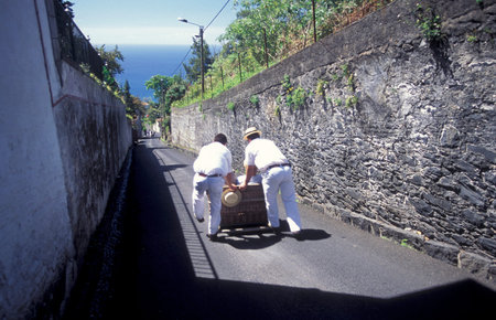 the traditional Basket Sledge Riding from Monte down to the old town of Funchal on the Island of Madeira in the Atlantic Ocean of Portugal.のeditorial素材