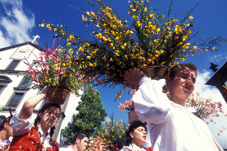 a parade of the Spring Flower Festival in the city of Funchal on the Island of Madeira in the...