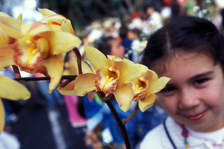 a parade of the Spring Flower Festival in the city of Funchal on the Island of Madeira in the Atlantic Ocean of Portugal.のeditorial素材