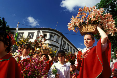 a parade of the Spring Flower Festival in the city of Funchal on the Island of Madeira in the Atlantic Ocean of Portugal.のeditorial素材