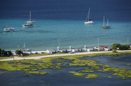 the village on the Gran Roque Island at the Los Roques Islands in the caribbean sea of Venezuela.のeditorial素材
