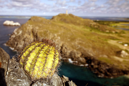 the landscape near the village on the Gran Roque Island at the Los Roques Islands in the caribbean sea of Venezuela.のeditorial素材
