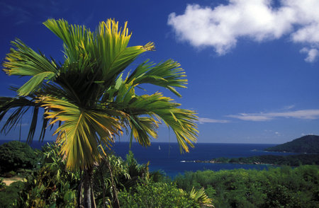 a Beach on the coast if the Island Mahe of the seychelles islands in the indian oceanのeditorial素材