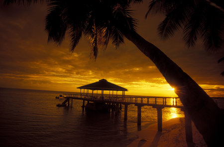 a Beach on the coast if the Island Praslin of the seychelles islands in the indian oceanのeditorial素材
