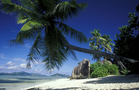 a Beach on the coast if the Island Mahe of the seychelles islands in the indian oceanのeditorial素材