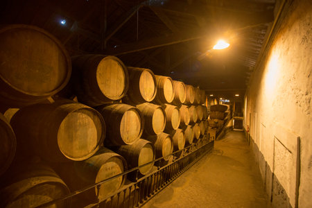 one of the Port wine Cellar of Ferreira at the waterfront  on the Douro River in Ribeira in the city...