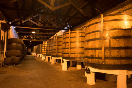 one of the Port wine Cellar of Ferreira at the waterfront  on the Douro River in Ribeira in the city...