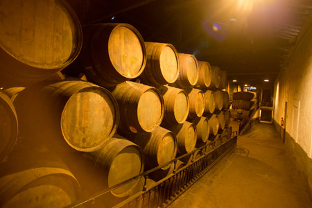 one of the Port wine Cellar of Ferreira at the waterfront  on the Douro River in Ribeira in the city...