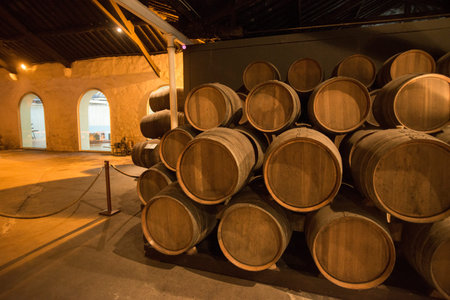 one of the Port wine Cellar of Ferreira at the waterfront  on the Douro River in Ribeira in the city...