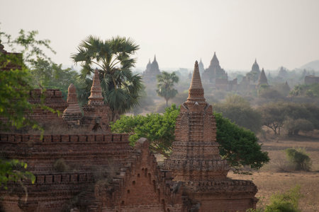 the Temple and Pagoda Fields in Bagan in Myanmar in Southeastasia.