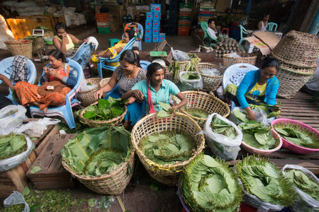 Betel nut at a Market near the City of Yangon in Myanmar in Southeastasia.のeditorial素材