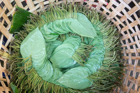 Betel nut at a Market near the City of Yangon in Myanmar in Southeastasia.のeditorial素材