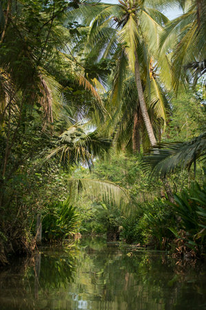 the landscape and rivers allround the Town of Tha Kha in the Province Samut Songkhram west of the...