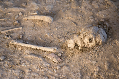 the burial sites at the ban Chiang national museum in the village of Ban Chiang near the city of...