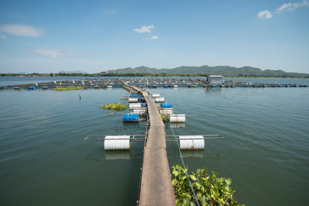 a fishfarm in the River Kwai near the City of Kanchanaburi in Central Thailand in Southeastasia.のeditorial素材