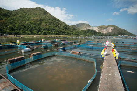 a fishfarm in the River Kwai near the City of Kanchanaburi in Central Thailand in Southeastasia.のeditorial素材