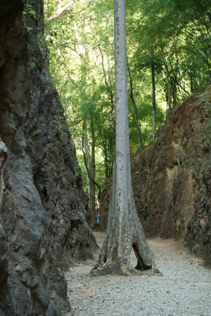 the Hillfire Pass of the Burma-Thailand Railway Construction of the World War 2 north of the City of...