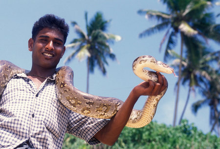 a Boy with a snake in the town of Hikaduwa at the westcoast of Sri Lanka in Asien.