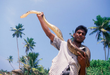 a Boy with a snake in the town of Hikaduwa at the westcoast of Sri Lanka in Asien.