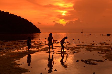 A Beach on the Island of Ko PhiPhi on Ko Phi Phi Island outside of the City of Krabi on the Andaman...