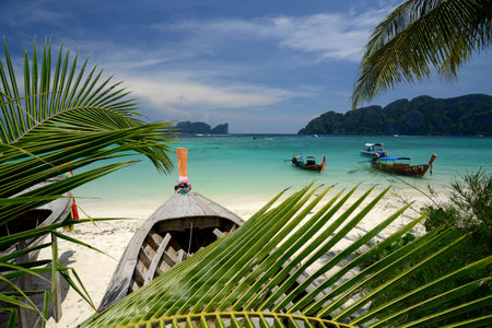 A Beach on the Island of Ko PhiPhi on Ko Phi Phi Island outside of the City of Krabi on the Andaman Sea in the south of Thailand.のeditorial素材