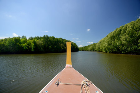 The mangroves at a lagoon near the City of Krabi on the Andaman Sea in the south of Thailand.のeditorial素材