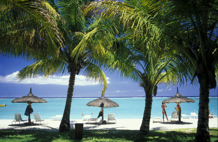 palmtrees on a beach on the island of Mauritius in the indian oceanのeditorial素材