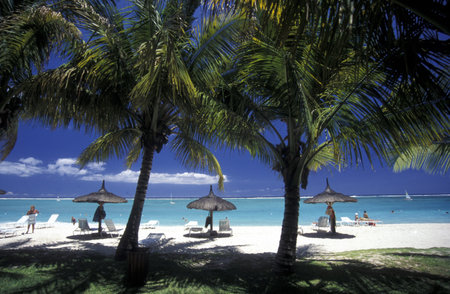 palmtrees on a beach on the island of Mauritius in the indian oceanのeditorial素材