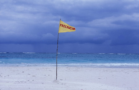 a Beach near Cancun on Yucatan in the Province Quintana Roo in Mexico in Central America.    ...