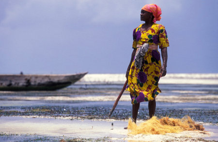 women are producing Coconut string from Coconut fiber at the East Coast at the Village of Bwejuu on the Island of Zanzibar in Tanzania.  Tanzania, Zanzibar, Bwejuu, October, 2004のeditorial素材