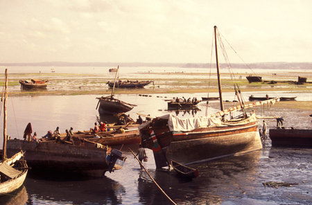 The fish Harbor the Old Town of Stone Town on the Island of Zanzibar in Tanzania.  Tanzania,...
